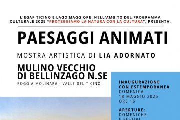 Adornato locandina