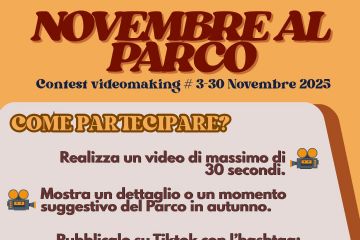 &quot;Novembre al Parco&quot;: il contest TikTok che celebra la magia dell&#39;autunno