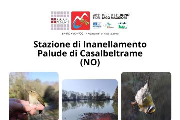 Casalbeltrame locandina