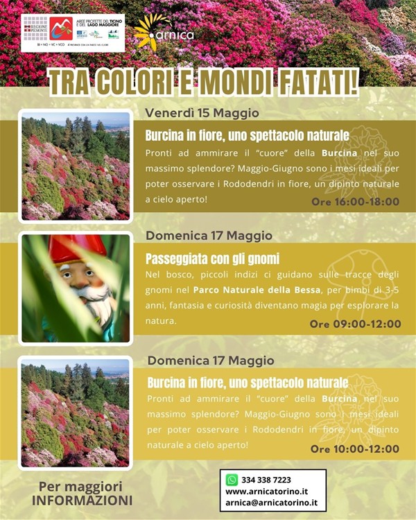 arnica 15-17 maggio