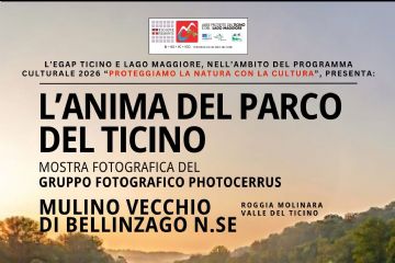 Photocerrus Mulino