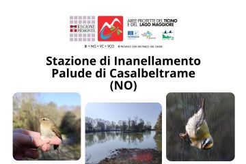 Apertura stazione inanellamento - luglio 2026
