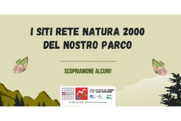 Quiz interattivo - La Rete Natura 2000