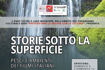 Storie sotto la superficie - esposizione straordinaria al Mulino Vecchio
