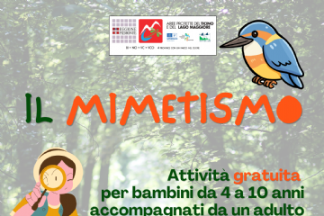 Locandina Mimetismo