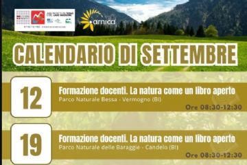 arnica settembre