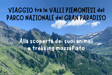 cai gran paradiso