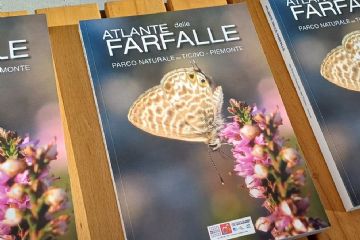 &#200; disponibile l’Atlante delle farfalle!