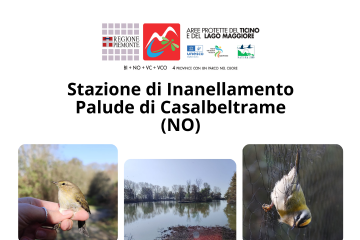 Apertura stazione inanellamento - sabato 20 dicembre