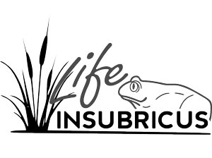 Life Insubricus