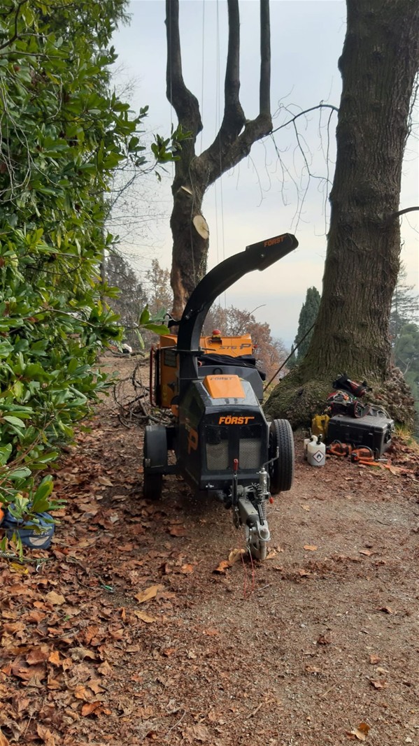 Lavori nel parco della Burcina