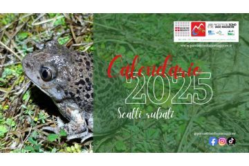 Cover calendario 2025