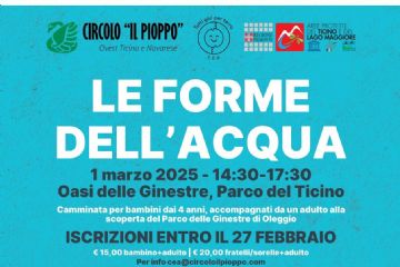 Le forme dell'acqua