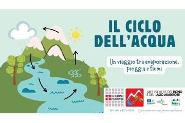 Quiz ciclo acqua