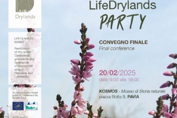Life Drylands Party