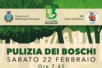 Pulizia bosco