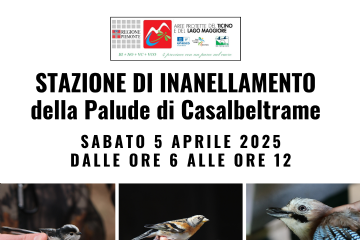 Inanellamento 5 aprile