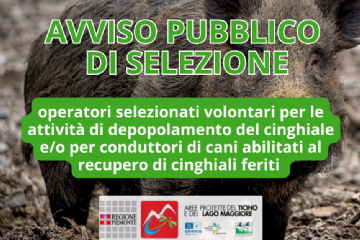 Avviso pubblico di selezione