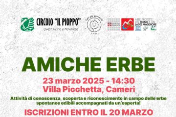 Amiche erbe