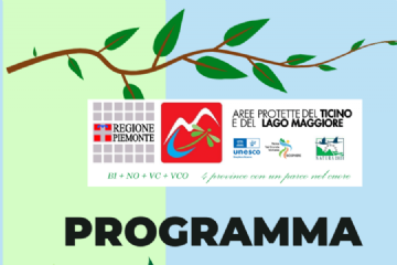 programma culturale 2025
