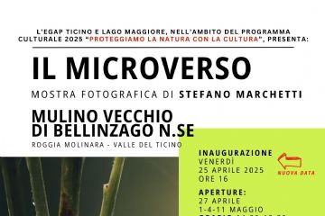 Marchetti Locandina