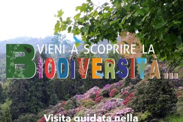 Primavera in Burcina