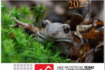 5xmille 2025