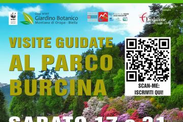 Primavera in Burcina