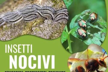 Locandina insetti nocivi