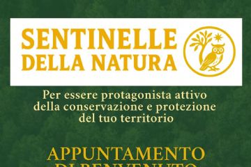 Locandina sentinelle cameri