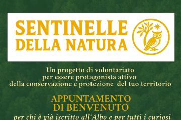 Locandina sentinelle Biella