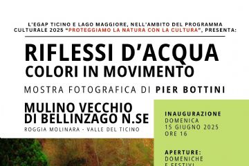 Locandina Riflessi d'acqua