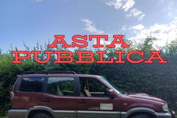Asta pubblica