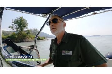 Danilo Vassura