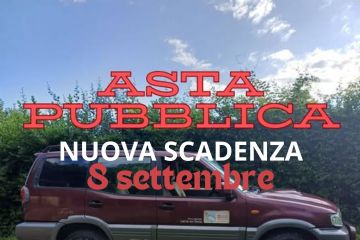 Asta pubblica