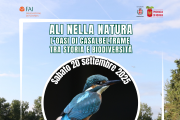 Fai Casalbeltrame