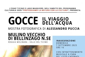 Locandina Puccia