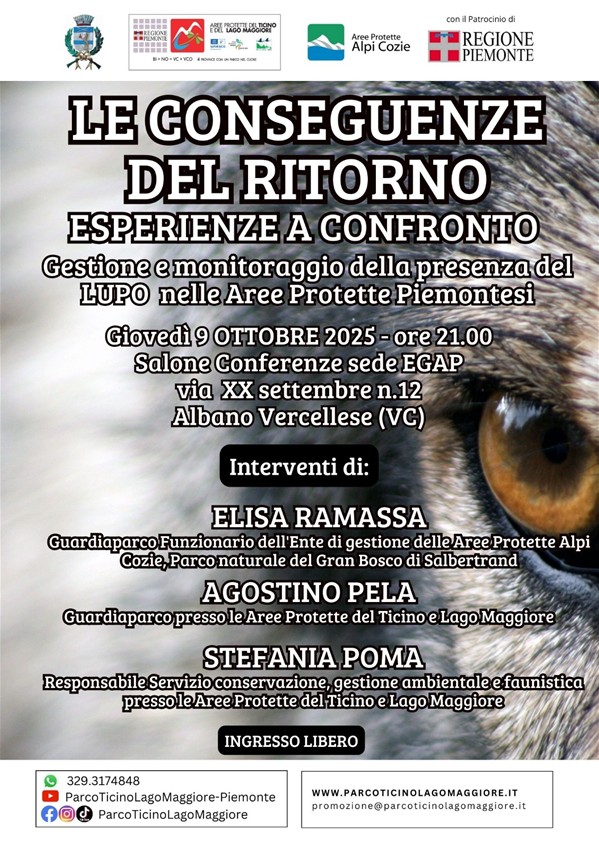 serata lupo