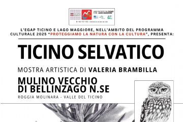 &quot;Ticino selvatico&quot; di Valeria Brambilla - inaugurazione domenica 5 ottobre