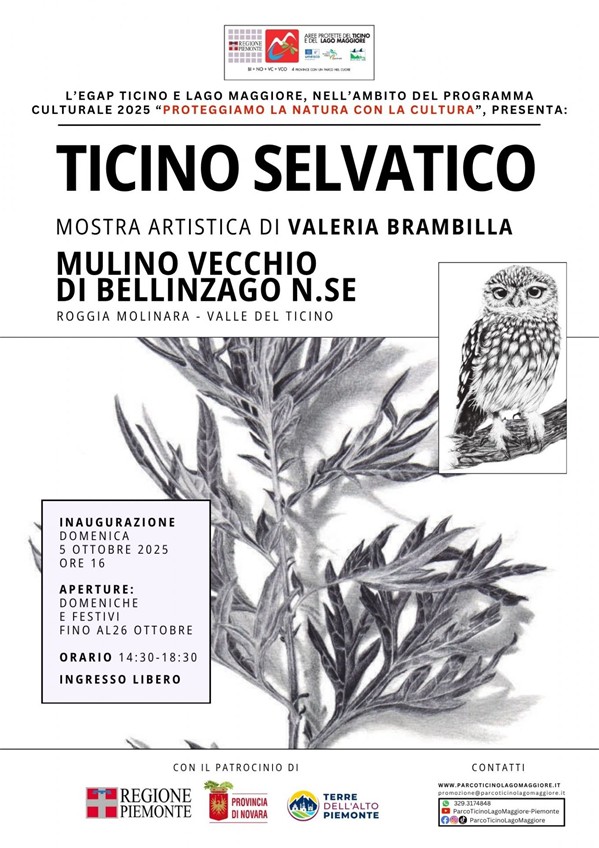 Brambilla