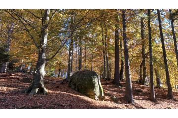 Storie (anche) di pietra - sabato 4 ottobre