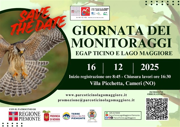 Monitoraggi 2025