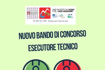 bando esecutore tecnico