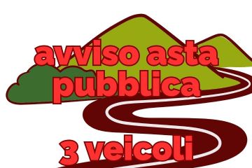 Avviso asta pubblica per vendita 3 autoveicoli