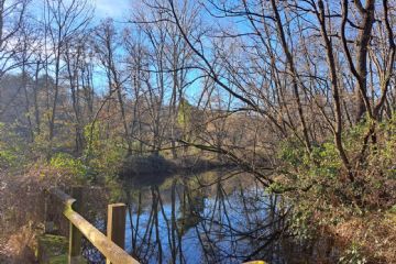 Il Parco e Meritor insieme per una nursery dedicata al luccio italico
