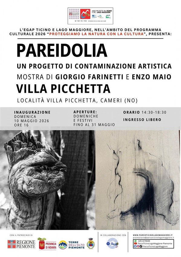 pareidolia