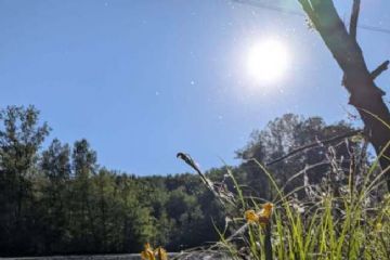 Chiusura Oasi delle Ginestre - domenica 10 maggio
