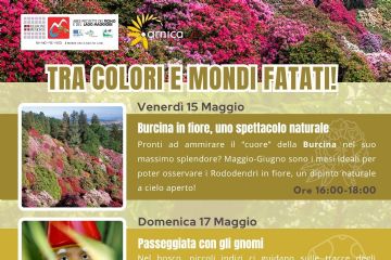 Tra colori e mondi fatati - Venerdì 15 e domenica 17 maggio