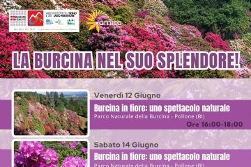 La Burcina nel suo splendore! - Venerdì 12 e il 14 giugno