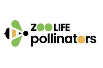Incontro Stakeholder "Zoo LIFE Pollinators" - Venerdì 19 giugno